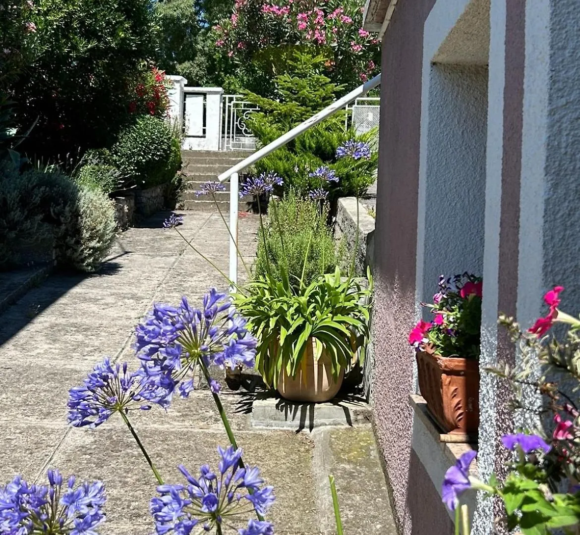 הוילה קראליביצה Casa Flora קרואטיה